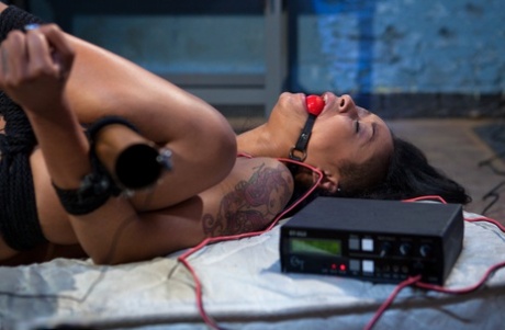 Skin Diamond perfektní pornohvězda fotky